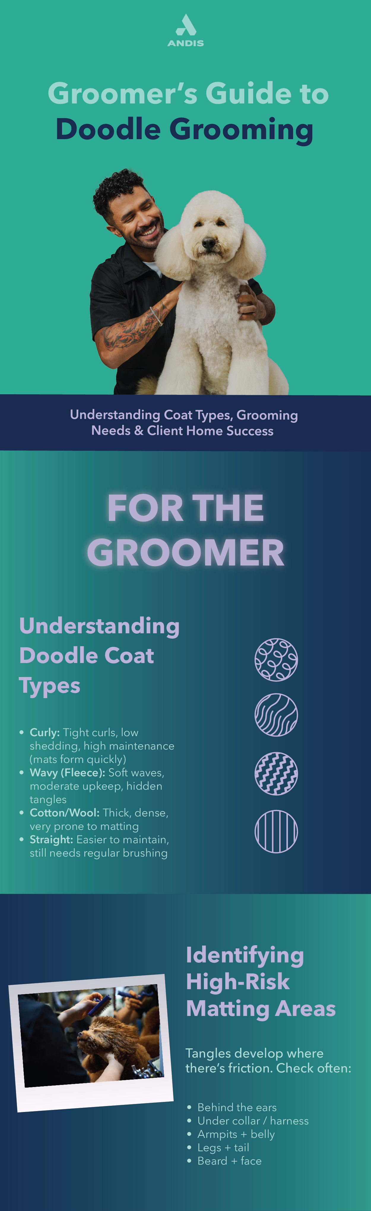 Groomer's Guide to Doodle Grooming