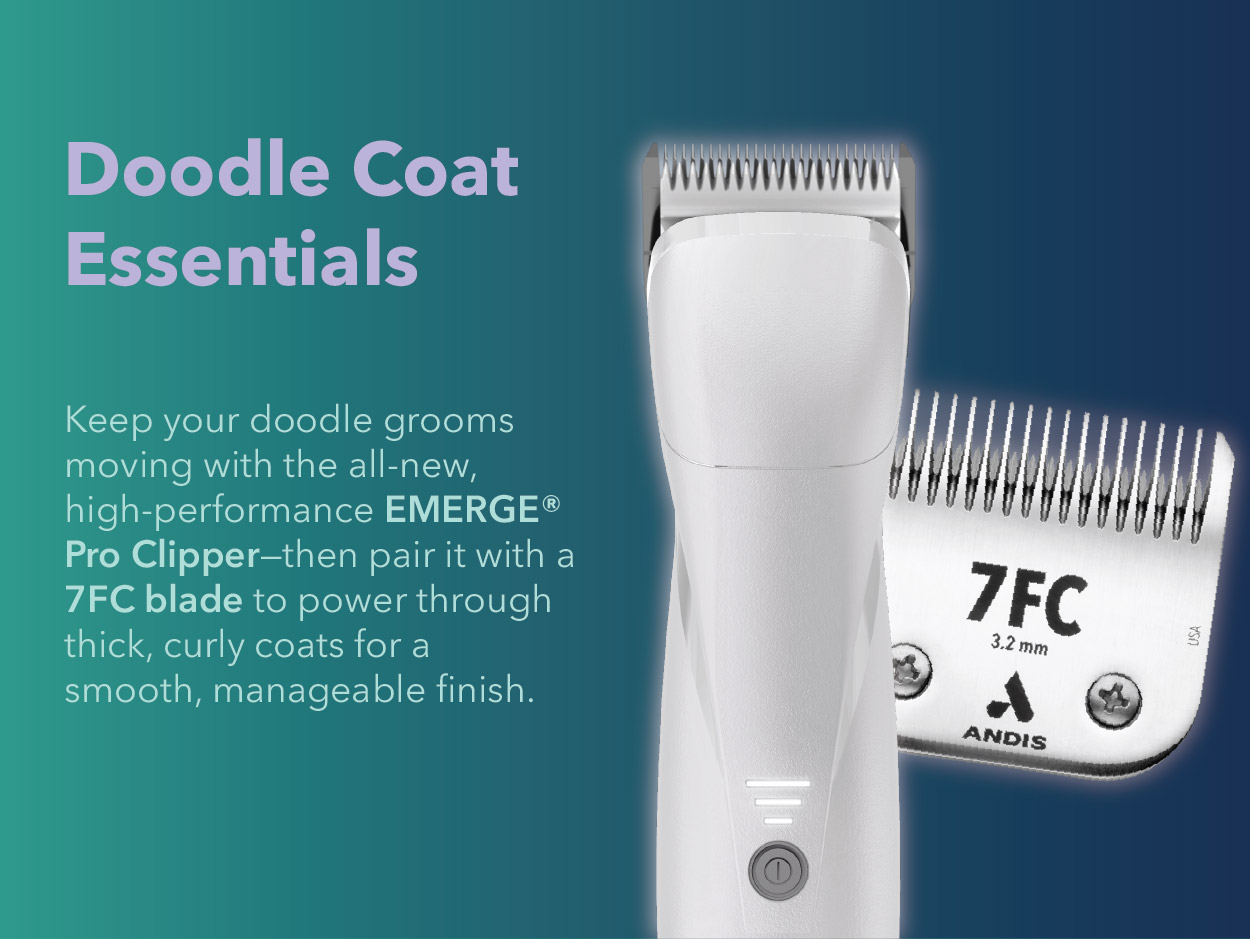 Doodle Coat Essentials 