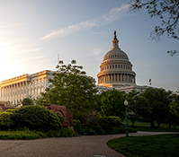 The Capitol Building