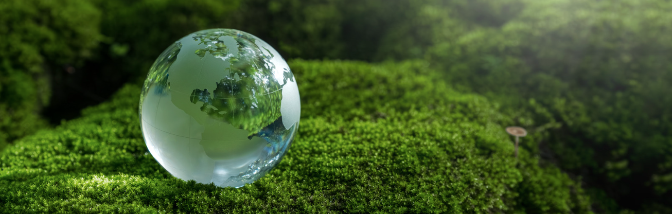 Net Zero Schools Stays Open During Heatwave