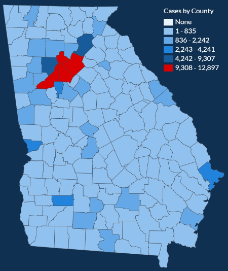 Source: Georgia Department of Public Health. Numbers updated July 17 at ...