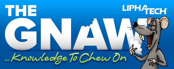 The Gnaw...knowledge to chew on