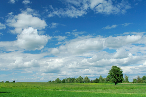 Blue Skies