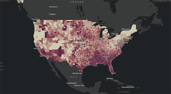 COVID cases interactive map
