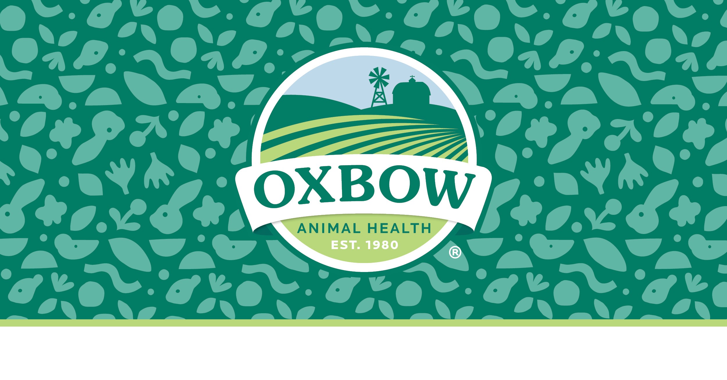 What are the Best Leafy Greens for Rabbits? 🥬 Oxbow Animal Health