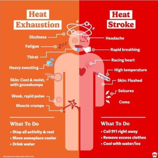Excessive Heat