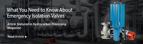 What You Need to Know About Emergency Isolation Valves
